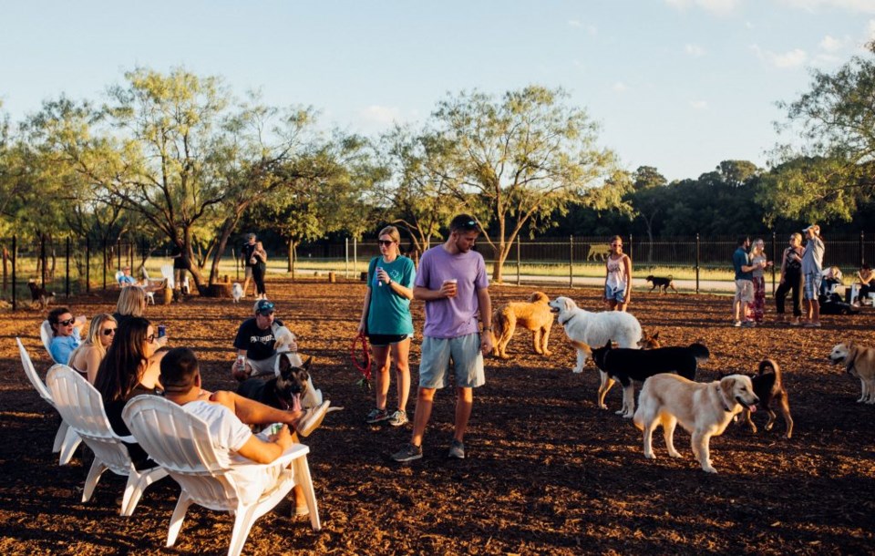 Mutts Cantina has two separate play areas for big dogs and small dogs | Image courtesy of Mutts Cantina