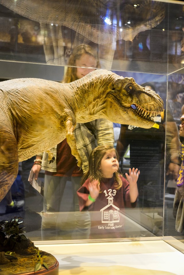 Things to Do Collin County, dinosaurs, things to do, dinosaur, dinosaur events, perot museum, dallas, texas