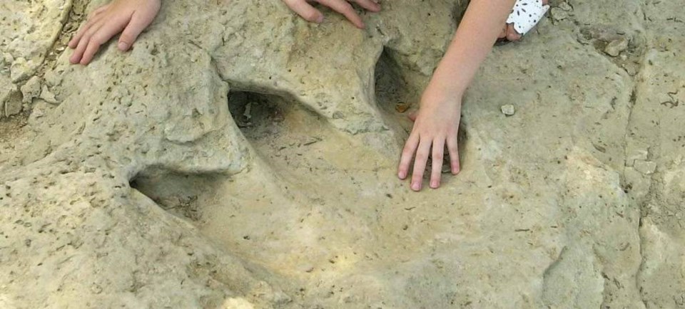 Things to Do Collin County, dinosaurs, things to do, dinosaur, dinosaur events, dinosaur valley state park, dinosaur footprints