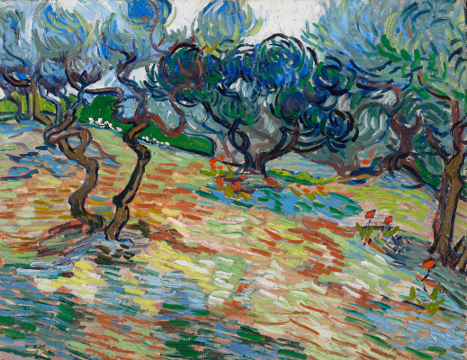 The Dallas Museum of Art's newest exhibit, "Van Gogh and the Olive Groves," is on display now!