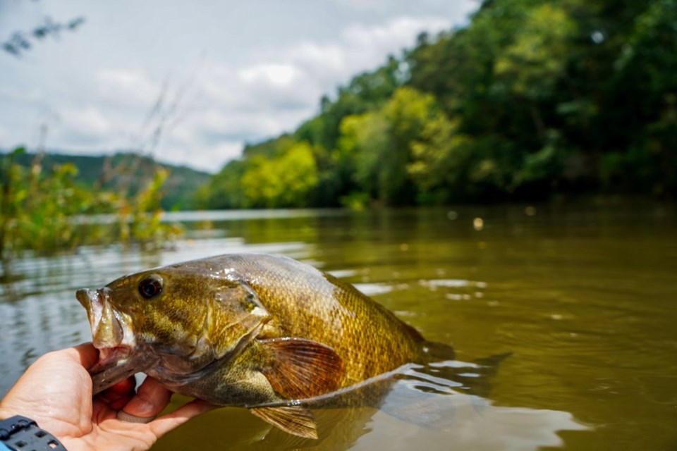 Small mouth bass from a stream in Broken Bow, Oklahoma. | Maclane Parker