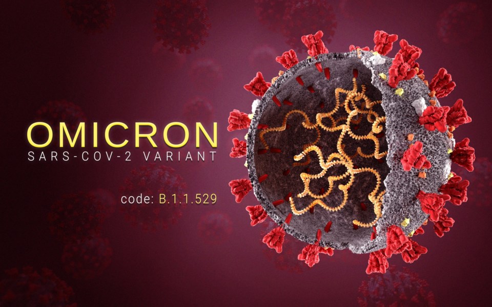 Omicron,Coronavirus,Variant,Sars,Ncov,2,2021,2022.,Omicron,B.1.1.529