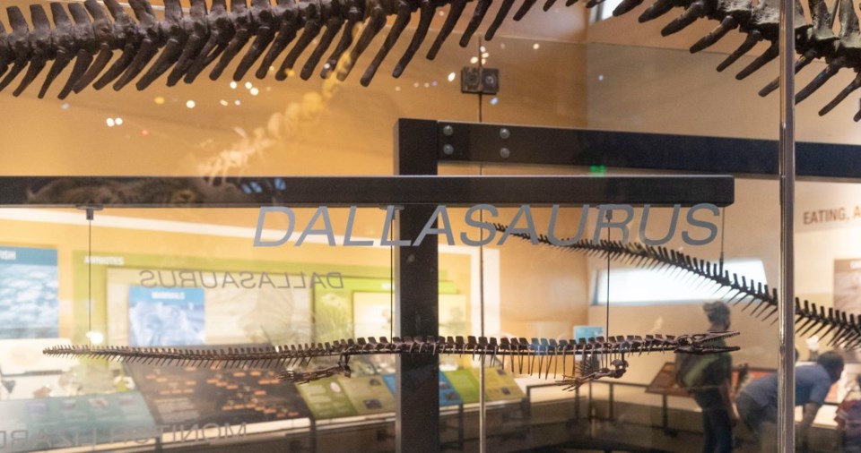 Dallasaurus will contain digital and AR components... all about dinosaurs! | Image courtesy of Perot Museum of Nature and Science