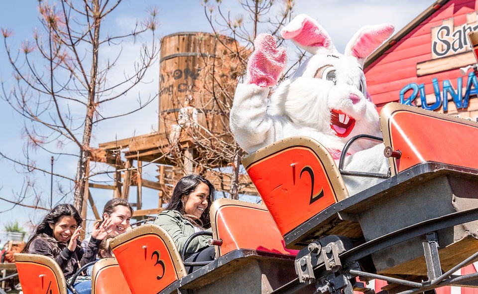 Easter Egg Hunt, easter, things to do on easter, easter things to do, plano tx, plano texas, mckinney texas, mckinney tx, frisco tx, frisco texas, yesterland farm, canton,
