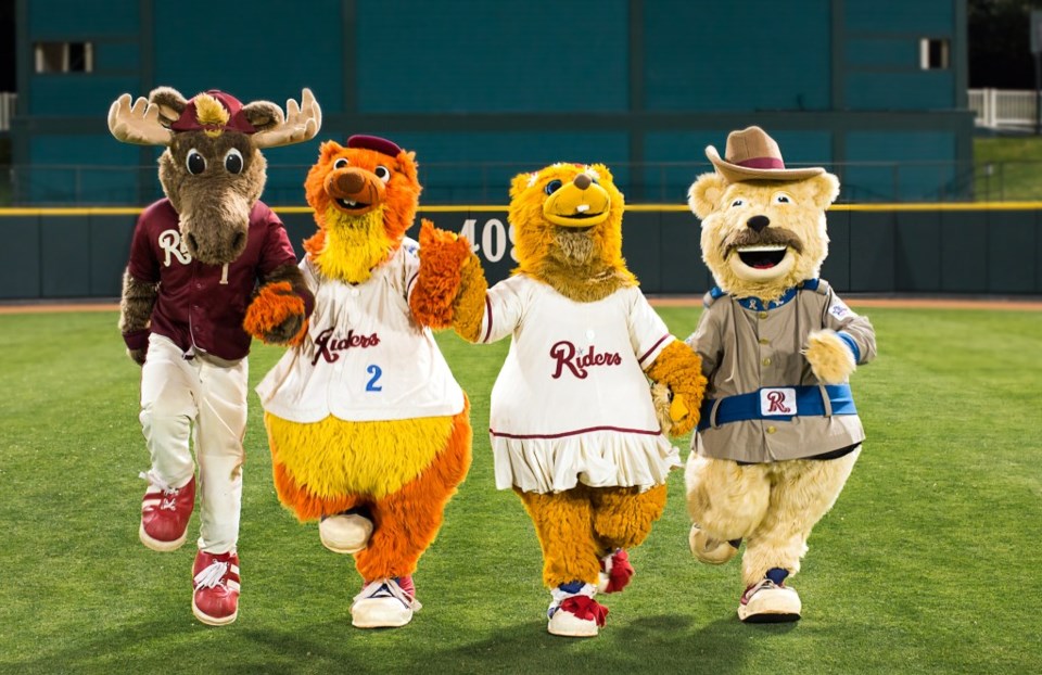 Bull Moose, Deuce, Daisy and Ted E Bear representing the Frisco RoughRiders. Image by Alicia Vincent. Frisco, Frisco TX, Frisco Texas