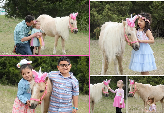 Easter Egg Hunt, easter, things to do on easter, easter things to do, plano tx, plano texas, mckinney texas, mckinney tx, frisco tx, frisco texas,