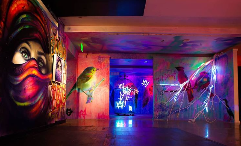 Psychedelic Robot, immersive art experience, plano tx, plano texas, the shops at willow bend, dallas, art,