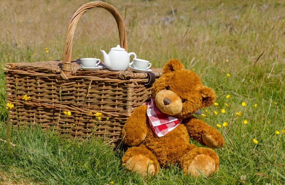 A teddy bear at a picnic.