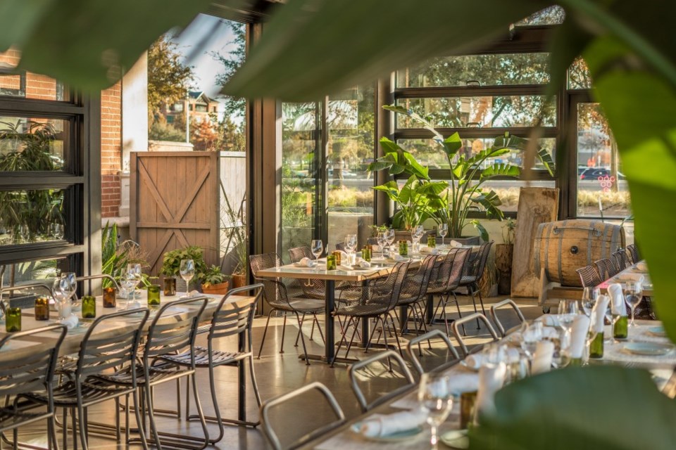 plano patios, alfresco dining, patio dining, plano restaurants, best patios in plano, sixty vines