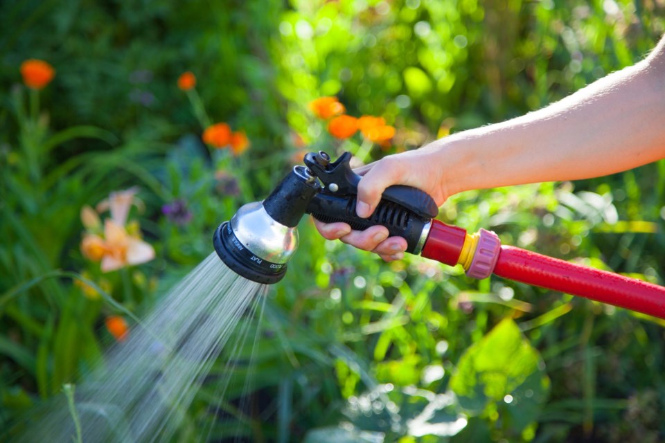 Watering,Flowers,In,The,Garden