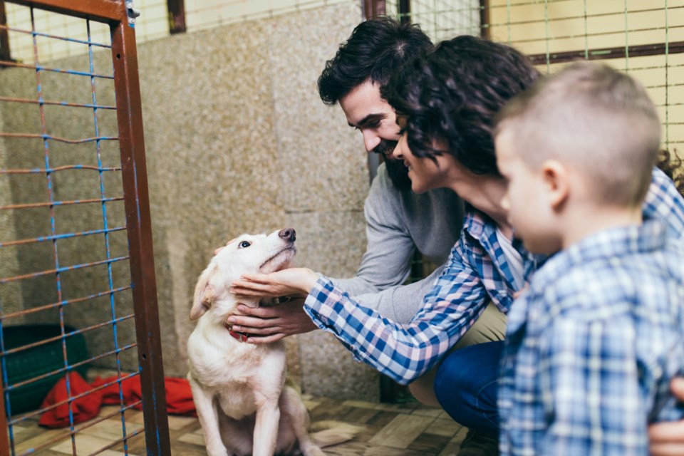 Happy,Family,At,Animal,Shelter,Choosing,A,Dog,For,Adoption.