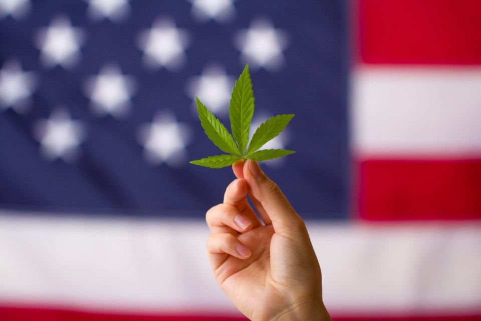 Cannabis,Legalization,In,The,United,States,Of,America,.,Cannabis