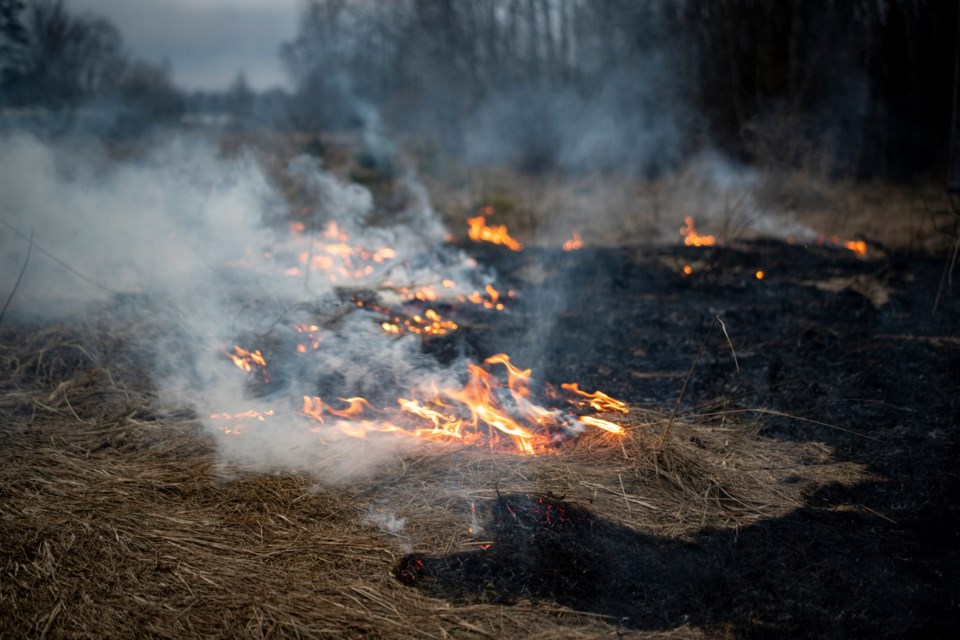 Dry,Grass,Burning,In,The,Forest,And,Meadows,,Evening,Sunset