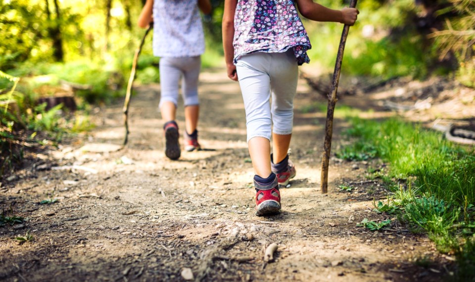 Children,Hiking,In,Mountains,Or,Forest,With,Sport,Hiking,Shoes.