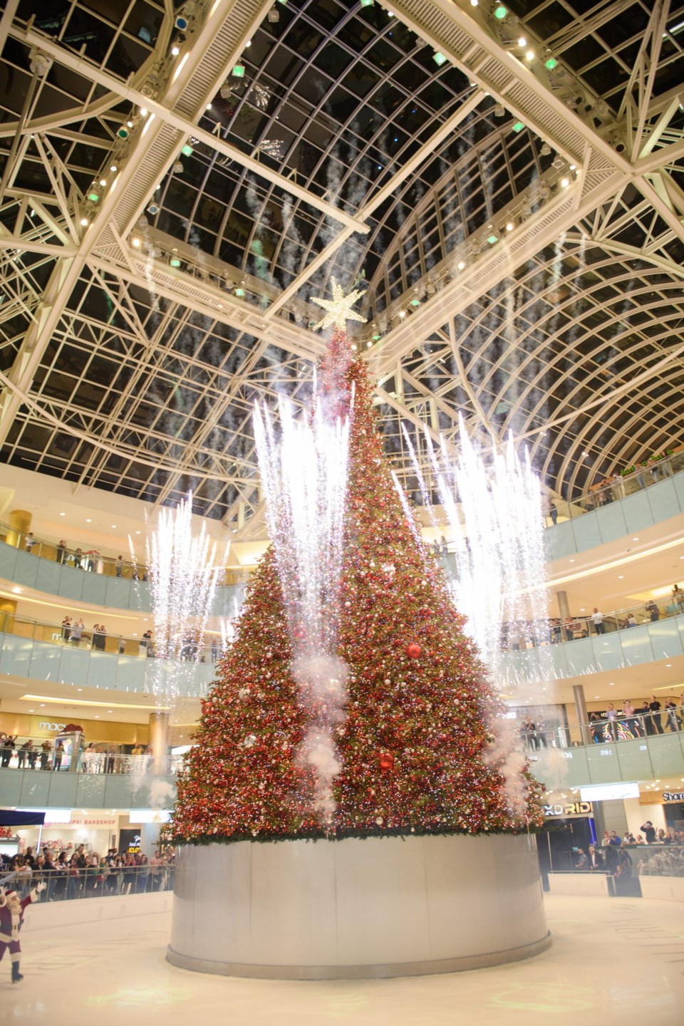 Galleria Christmas Tree (5)