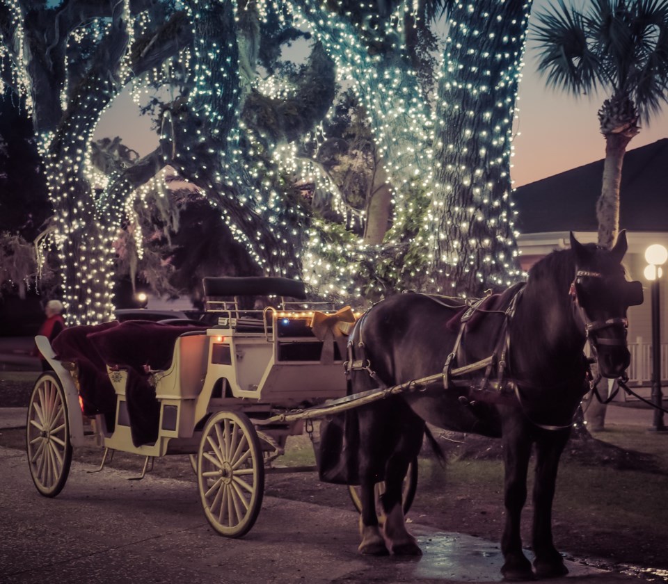 Christmas,Lights,&amp;,Horse,&amp;,Carriage