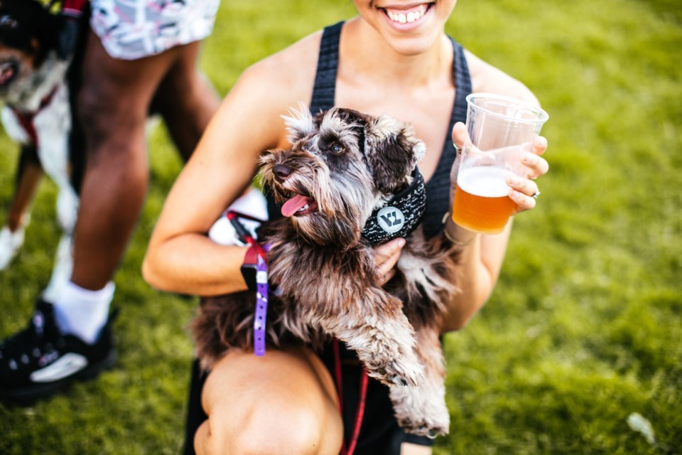 Addison After Dark &#8211; Pints &#038; Pups