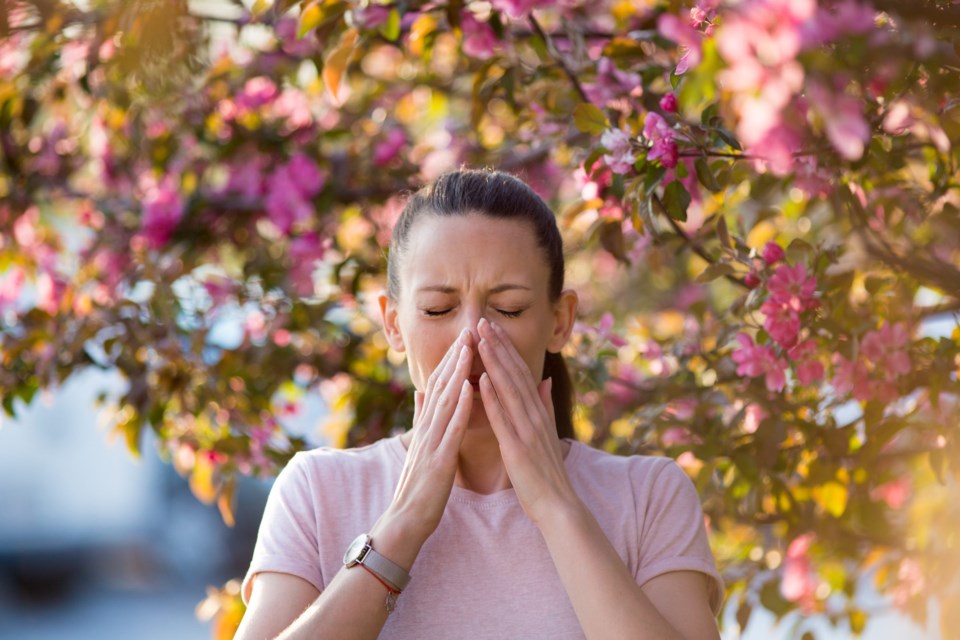Young,Pretty,Woman,Sneezing,In,Front,Of,Blooming,Tree.,Spring