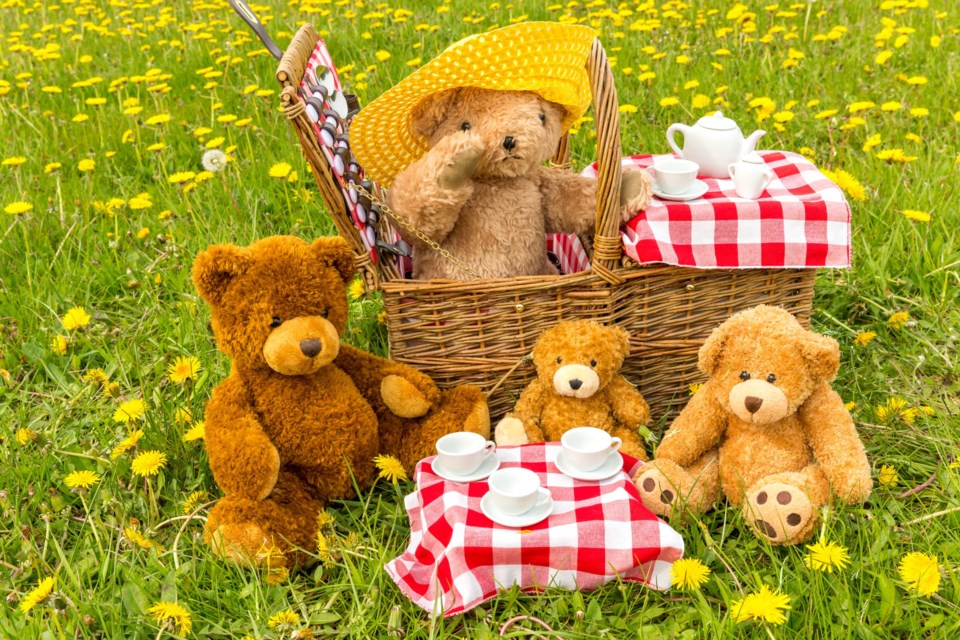 Teddy,Bear&#8217;s,Picnic,In,Summer,With,Bright,Yellow,Dandelions,In