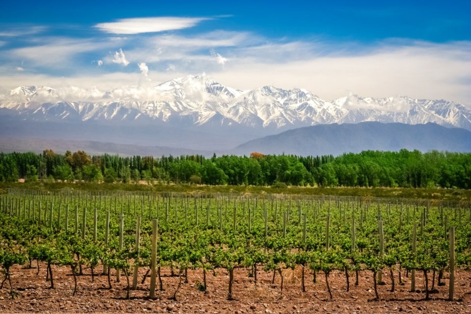 This week take a culinary trip to Argentina.