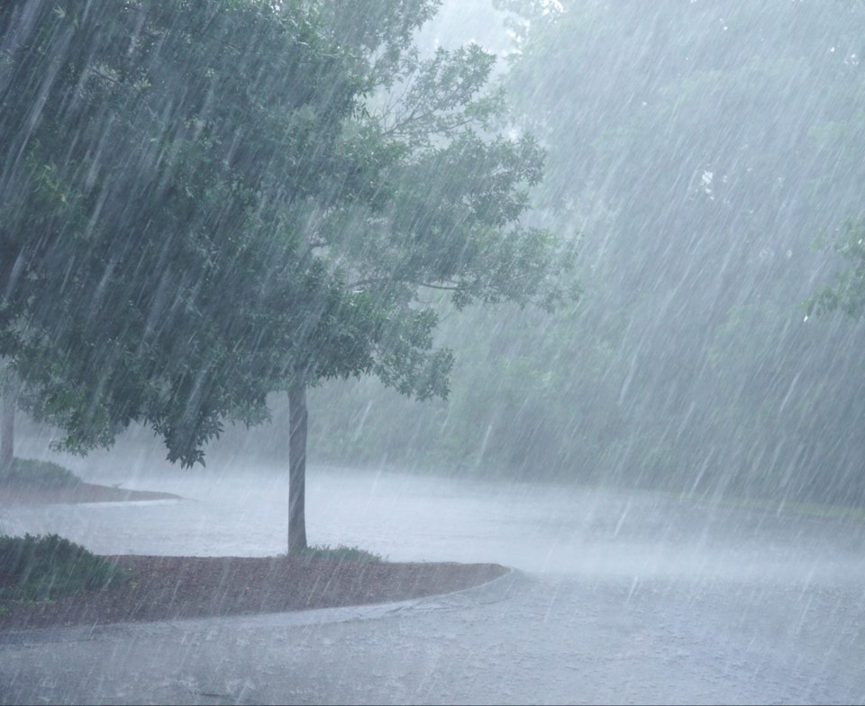 Heavy,Rain,And,Tree,In,The,Parking,Lot