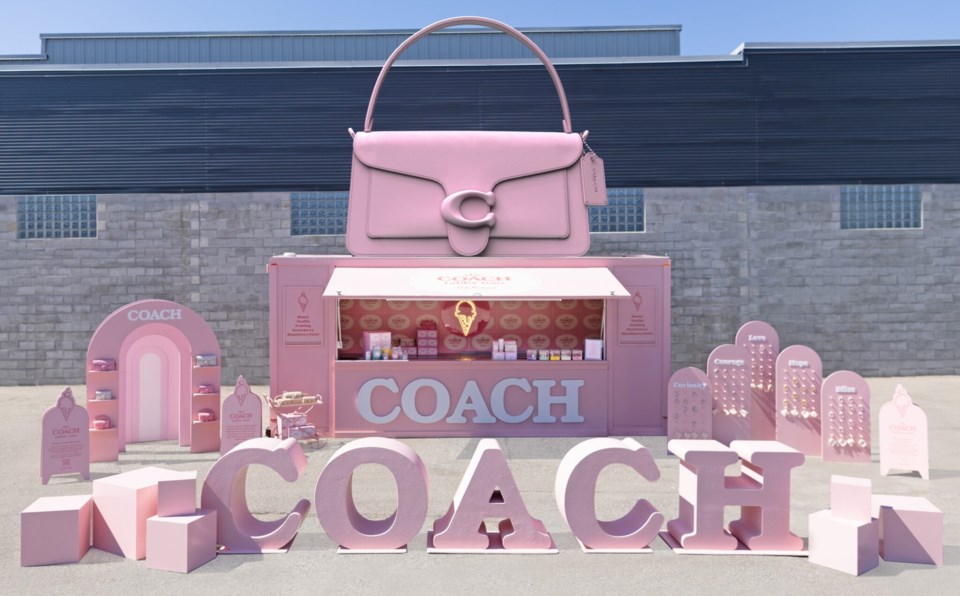 Coach-Tabby-Tour