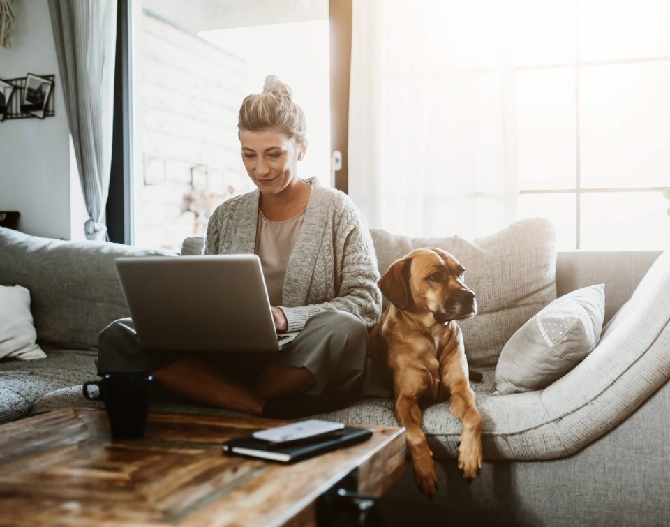 Businesswoman,Working,On,Laptop,Computer,Sitting,At,Home,With,A