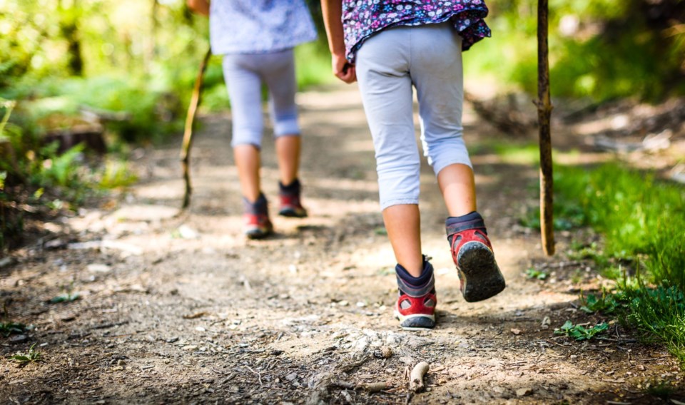 Children,Hiking,In,Mountains,Or,Forest,With,Sport,Hiking,Shoes.