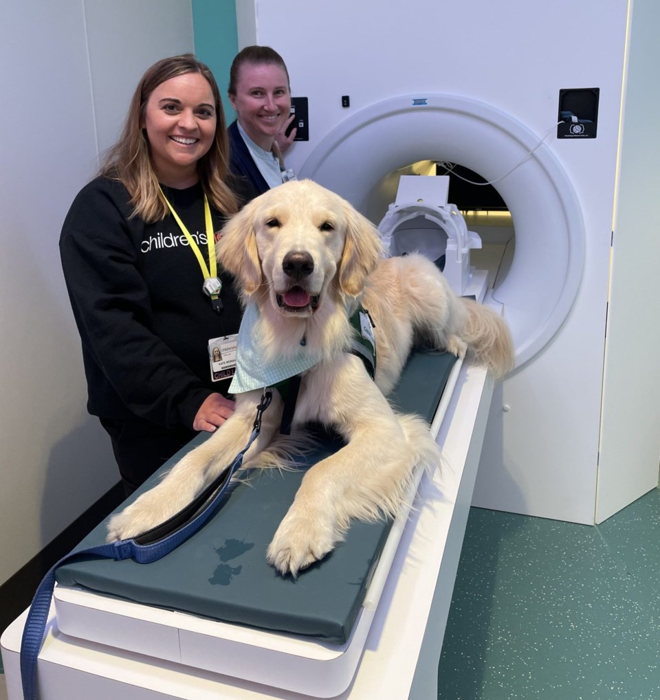 Mock MRI 3