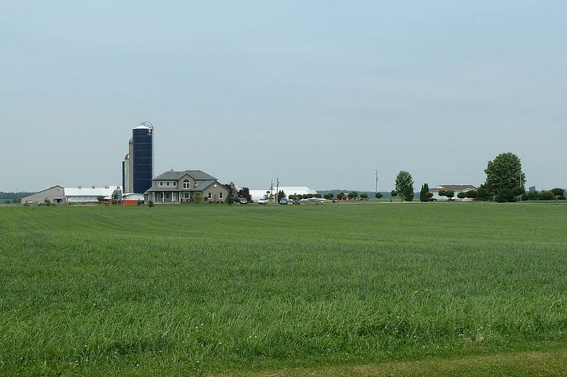 dairy-farm