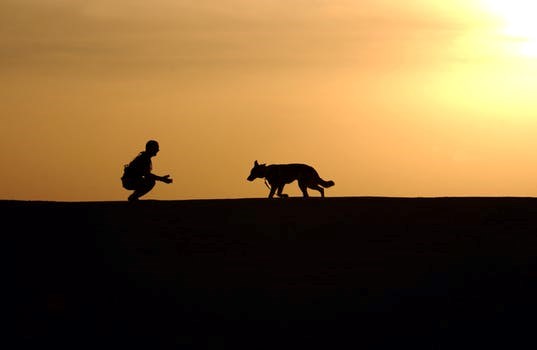dog-trainer-silhouettes-sunset-38284