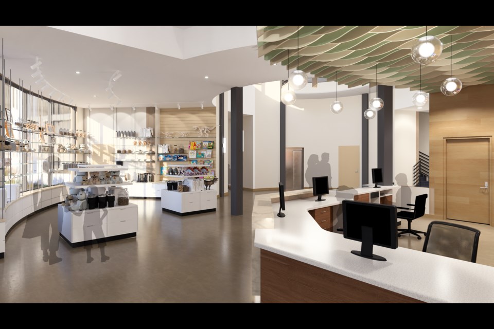 Concepts for the Longmont Museum's renovation, scheduled to begin late this month