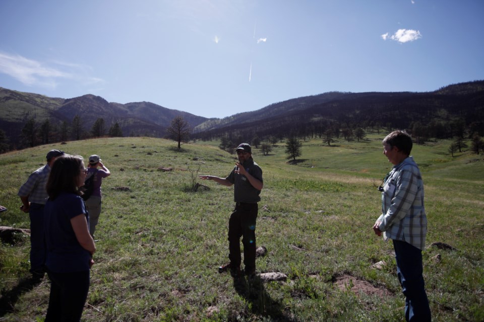 Boulder County Senior Plant Ecologist David Hirt talks about aerial mulching in front of the Cal-Wood fire burn scar on Thursday at Heil Valley Ranch.