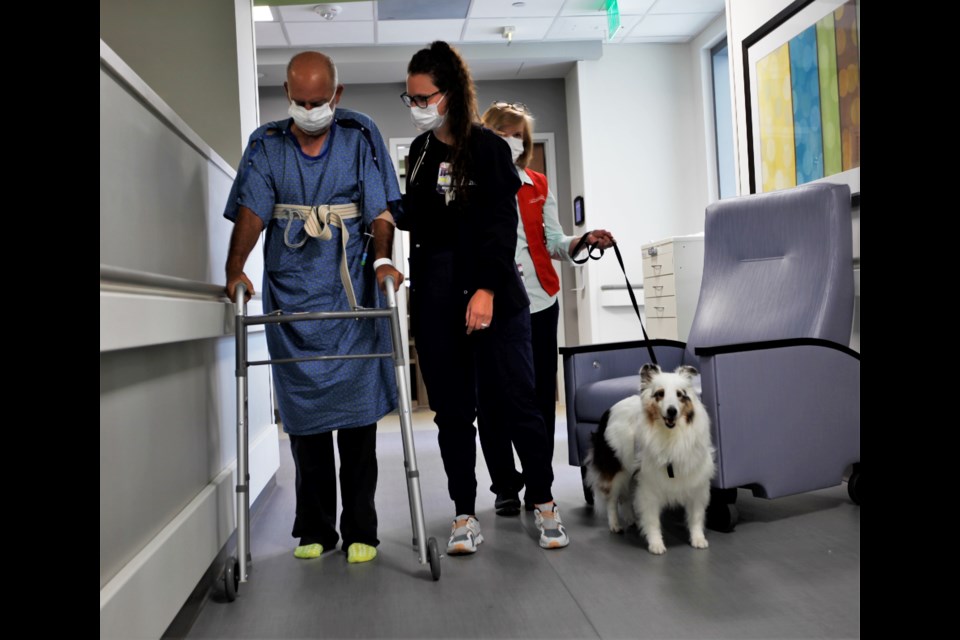 Michael Walker walks with Snow the therapy dog on Thursday at Longs Peak Hospital.