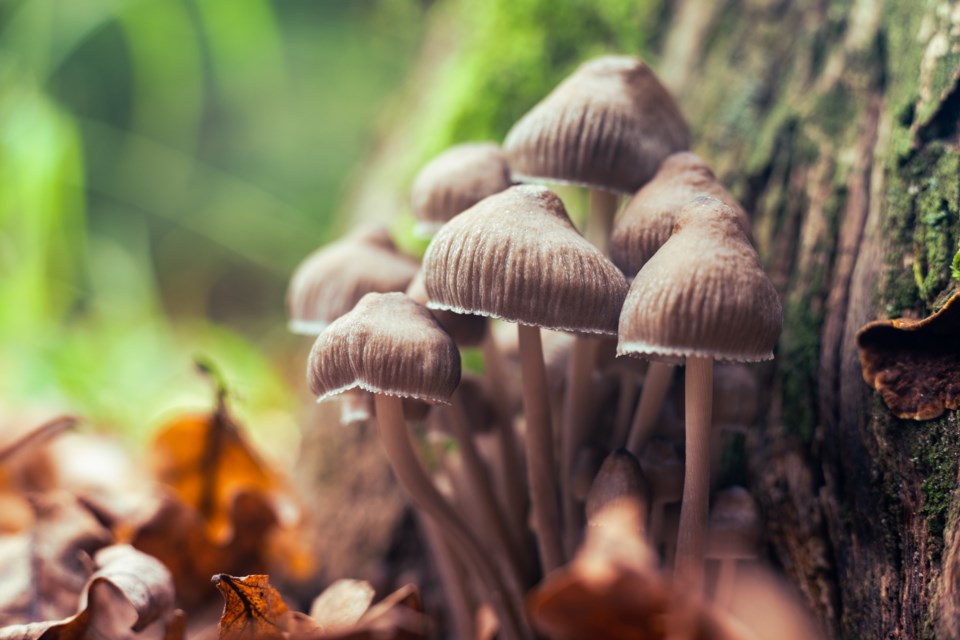 adobestock_391586002