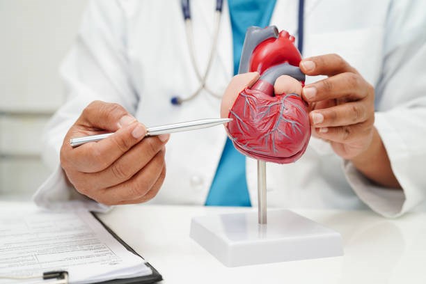 cardiologist-boulder