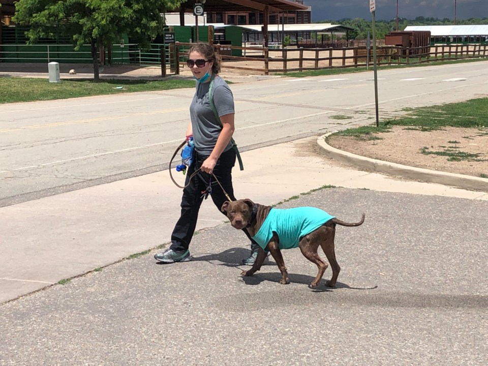 2020_07_02_LL_HUMANE_SOCIETY2