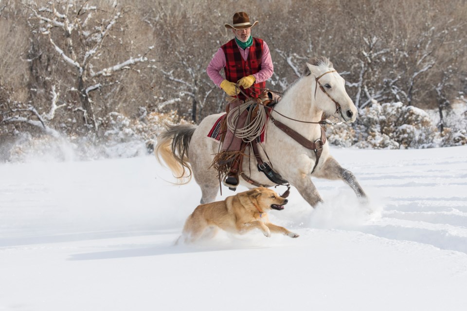 adobestock_268379939