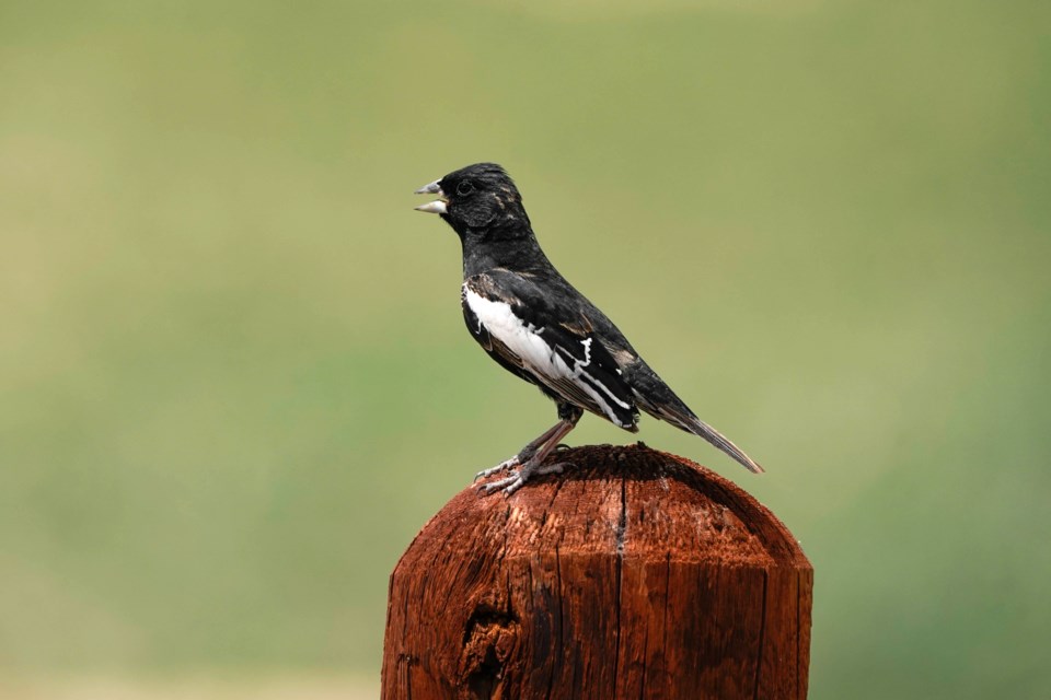 adobestock_508065280