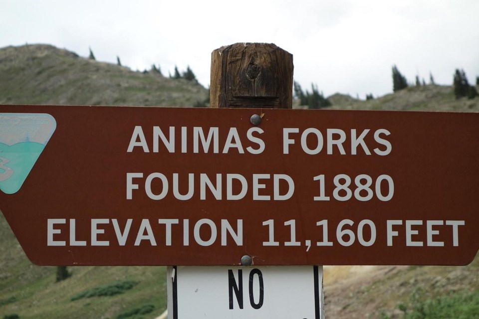 animas-forks