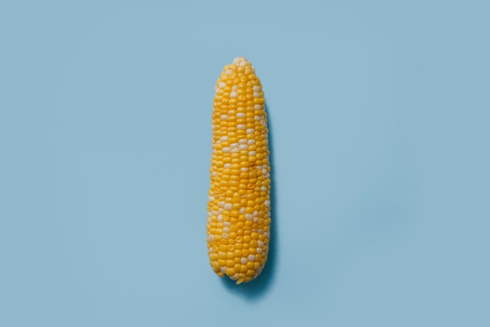 charlesdeluvio-ddva_3orbr8-unsplash