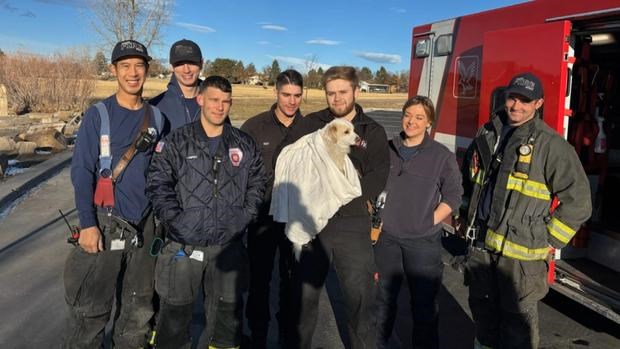 2 Dogs Rescued After Falling Through Ice at Aurora Park The Longmont Leader