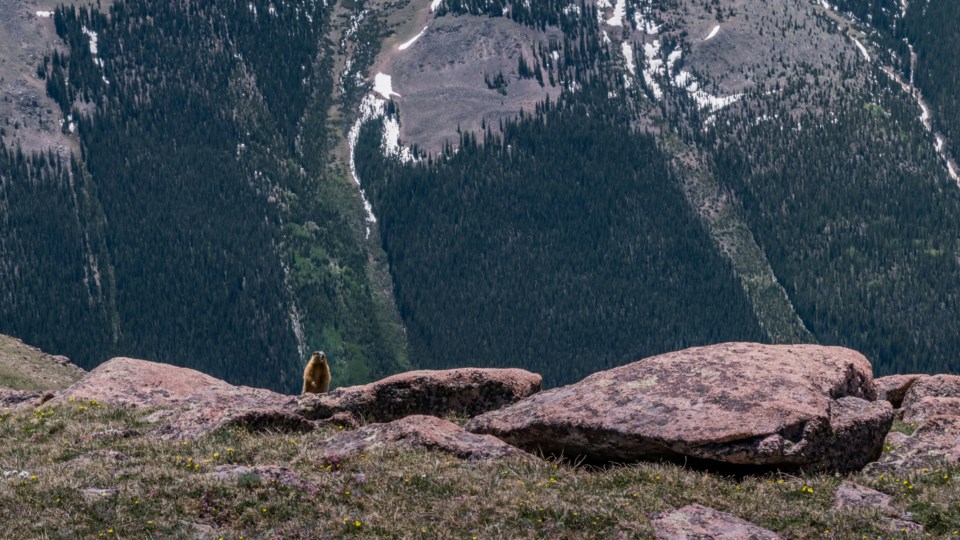 derek-baumgartner-_ckgvtheh6c-unsplash