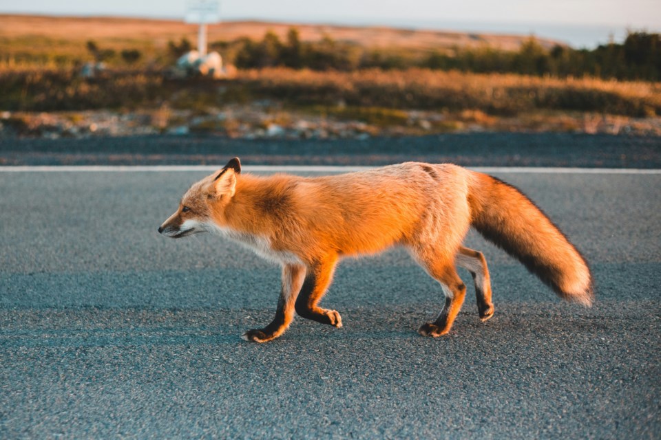 erik-mclean-akxnddmaeei-unsplash