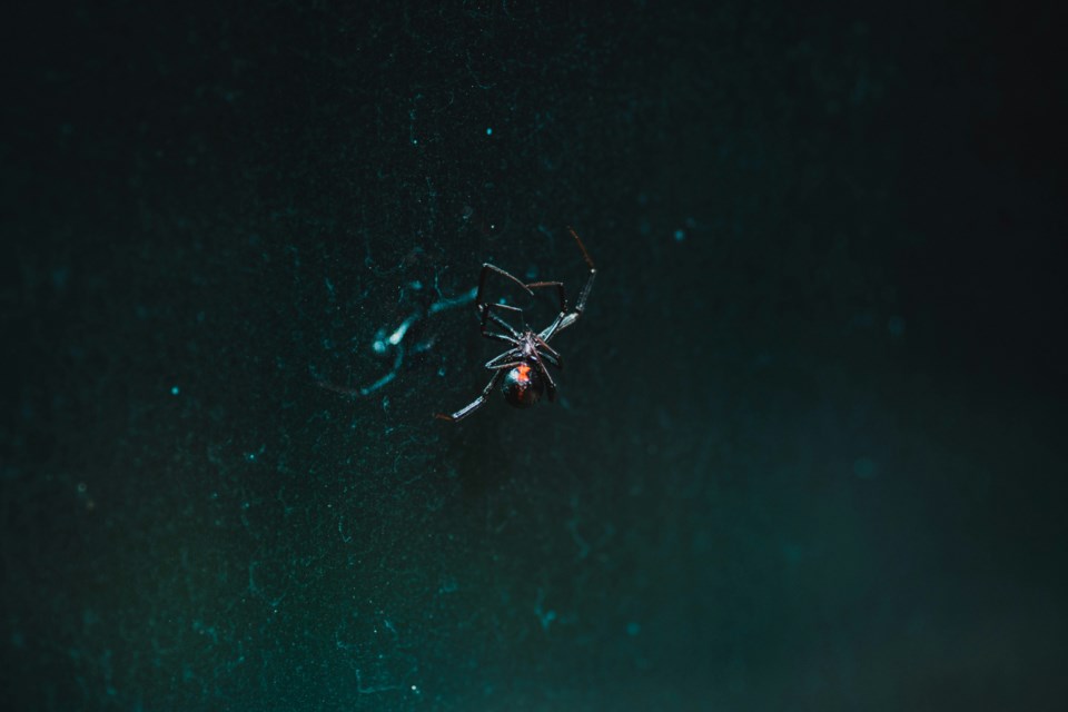 jared-subia-xxrsnvhja88-unsplash