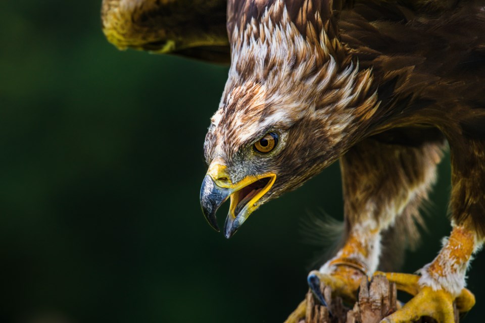 jeremy-hynes-_gld6a4-tkk-unsplash