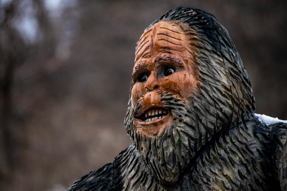 jon-sailer-e-xik6otngc-unsplash