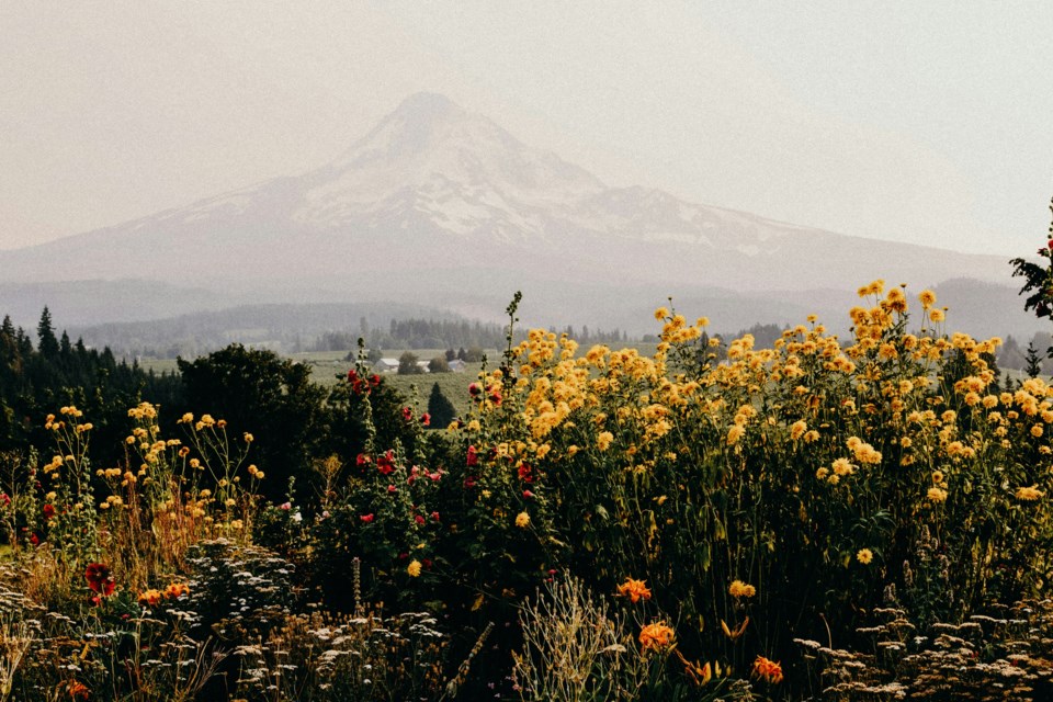 liana-mikah-geglehw8cg4-unsplash