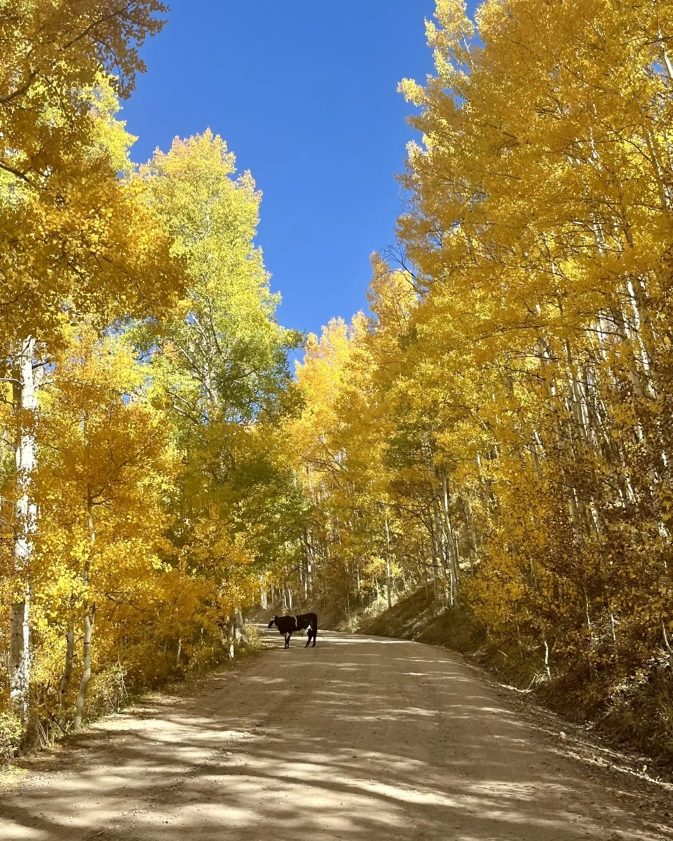 ohio-creek-road