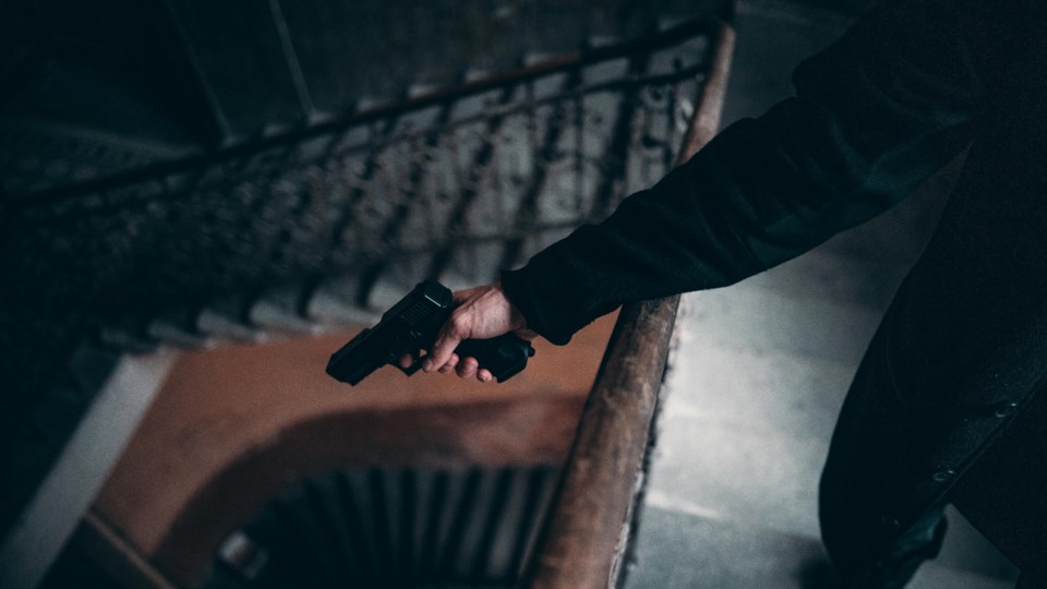 pexels-elijahsad-3156203